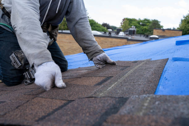 Quick and Trustworthy Emergency Roof Repair Services in Southeast Arcadia, FL